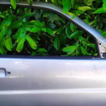 Porta Volkswagen Polo 6n 6N2 3 portas - Direita