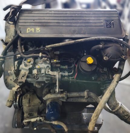 MOTOR PEUGEOT 405 306 J5 EXPERT / FIAT SCUDO / CITROEN ZX C25 JUMPER JUMPY 1.9D D9B